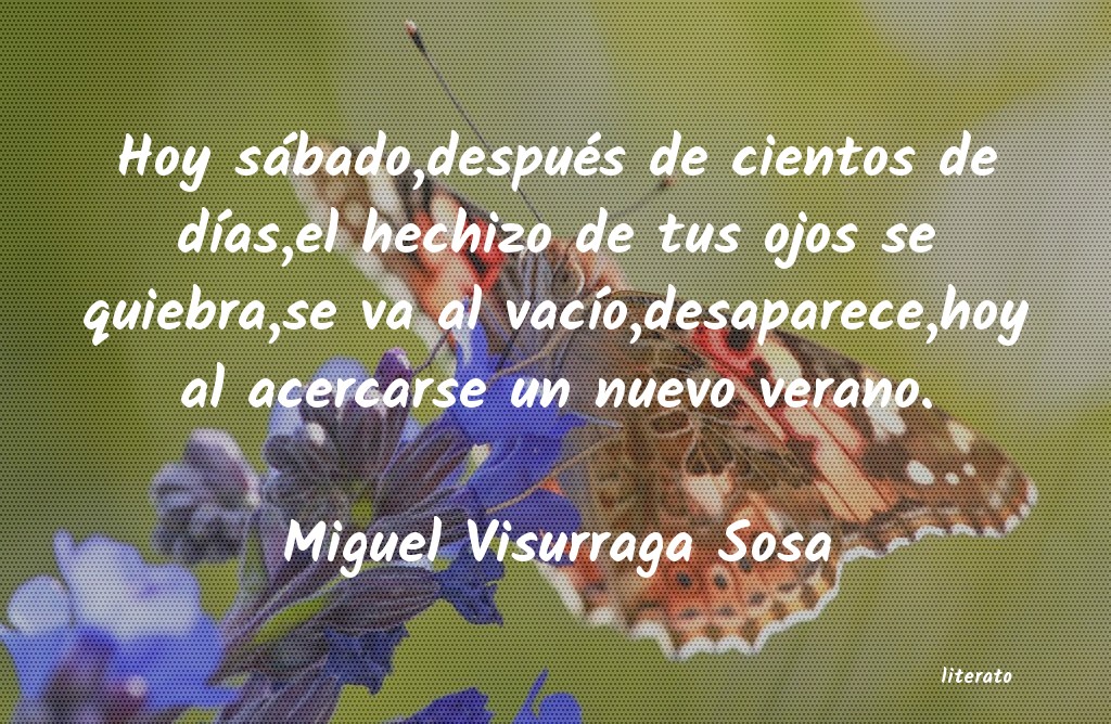 Frases de Miguel Visurraga Sosa