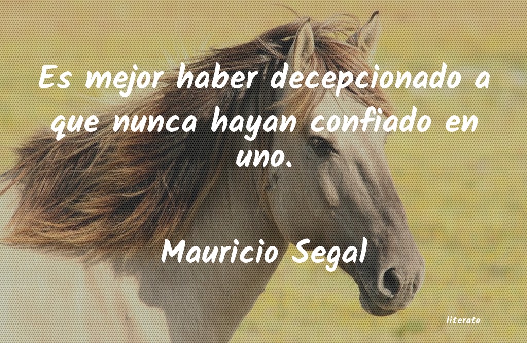 Frases de Mauricio Segal