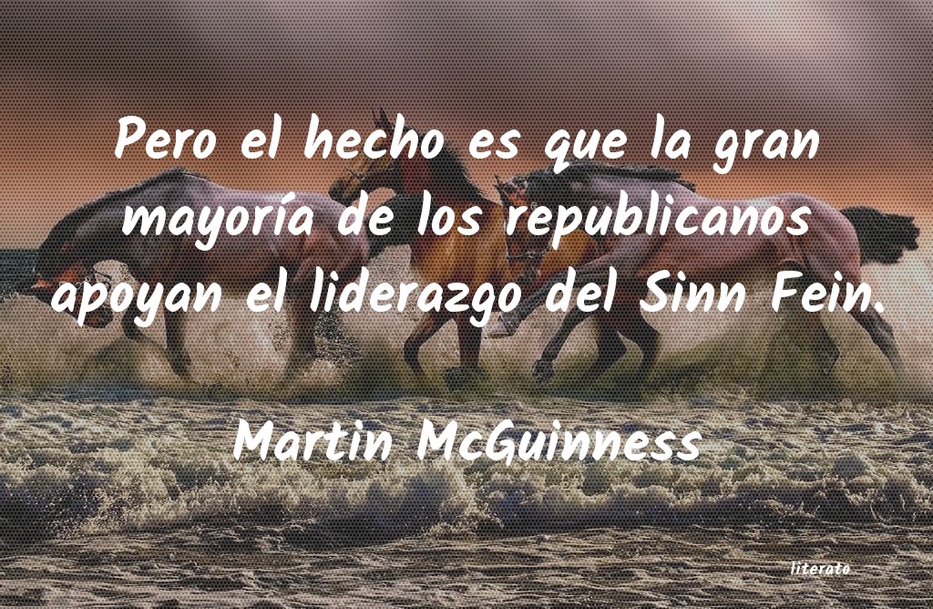 Frases de Martin McGuinness