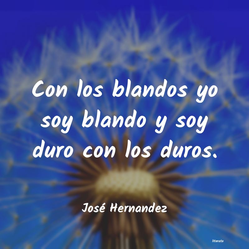 Frases de José Hernandez