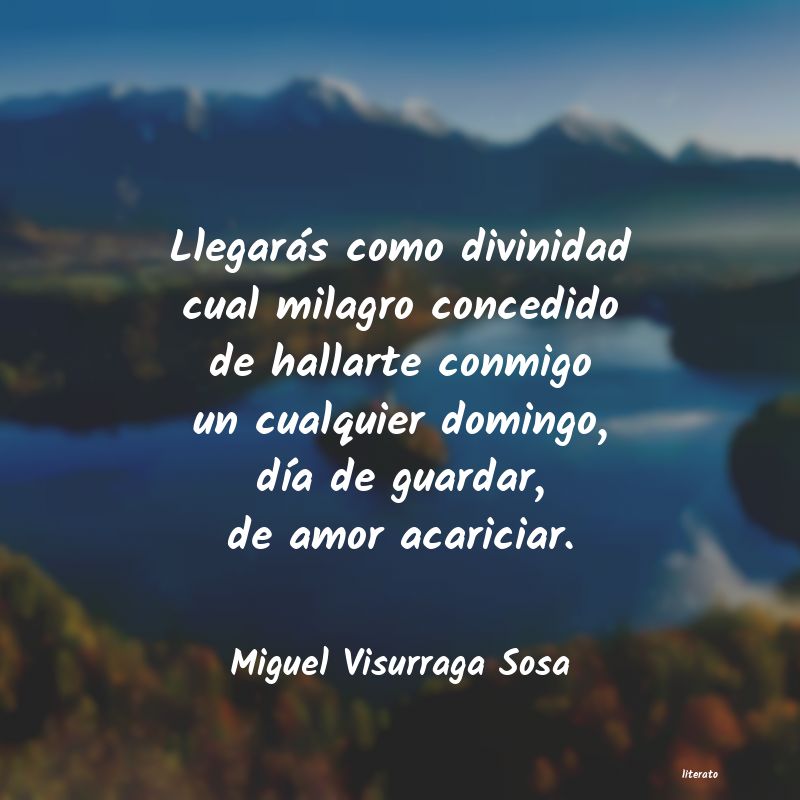 Frases de Miguel Visurraga Sosa