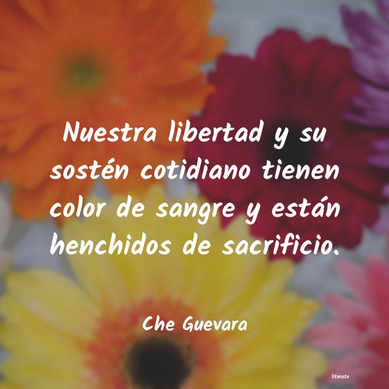 frases de Che Guevara