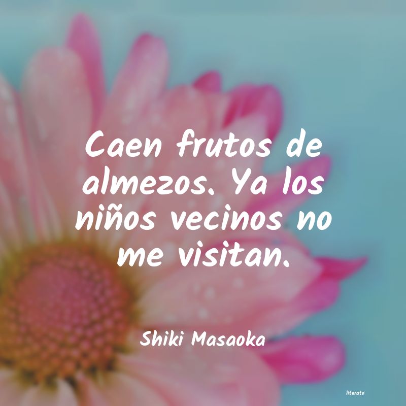 frases de Shiki Masaoka