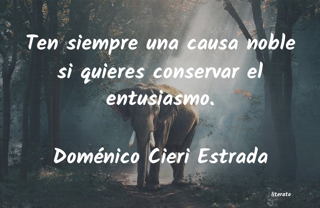 Frases de Doménico Cieri Estrada