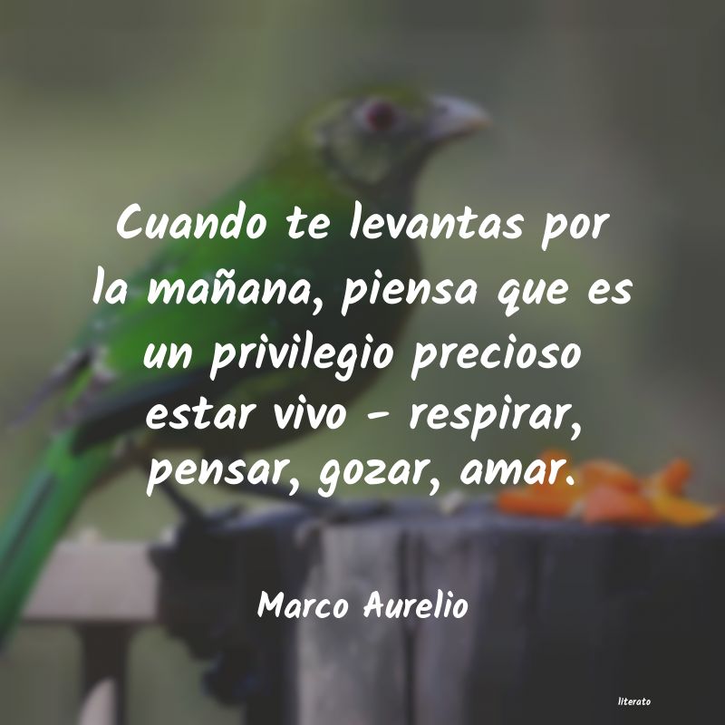 Frases de Buenos Días - Literato