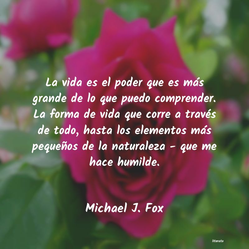 Frases de Michael J. Fox