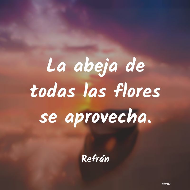frases de Refrán
