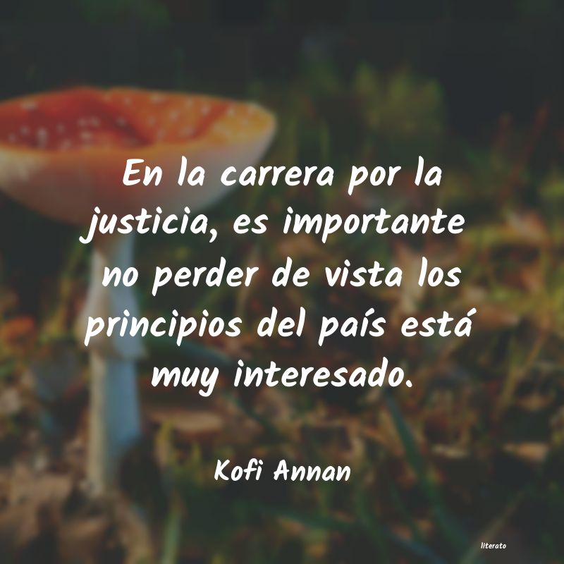 Frases de Kofi Annan