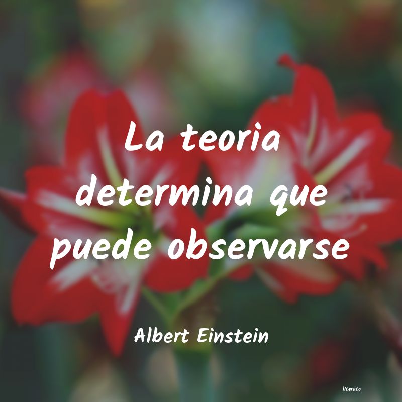 albert einstein citas simple