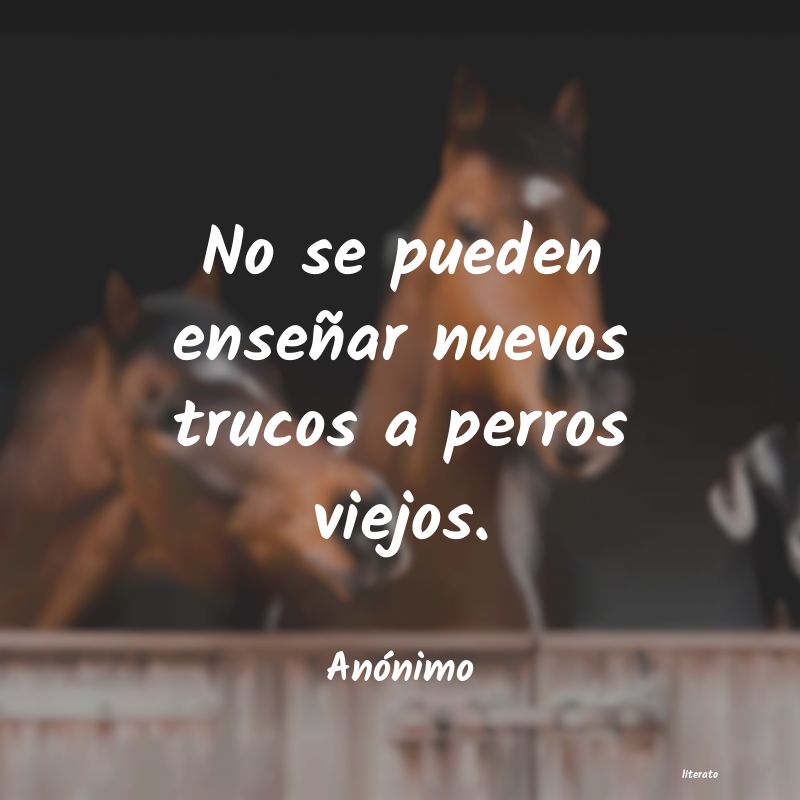 frases