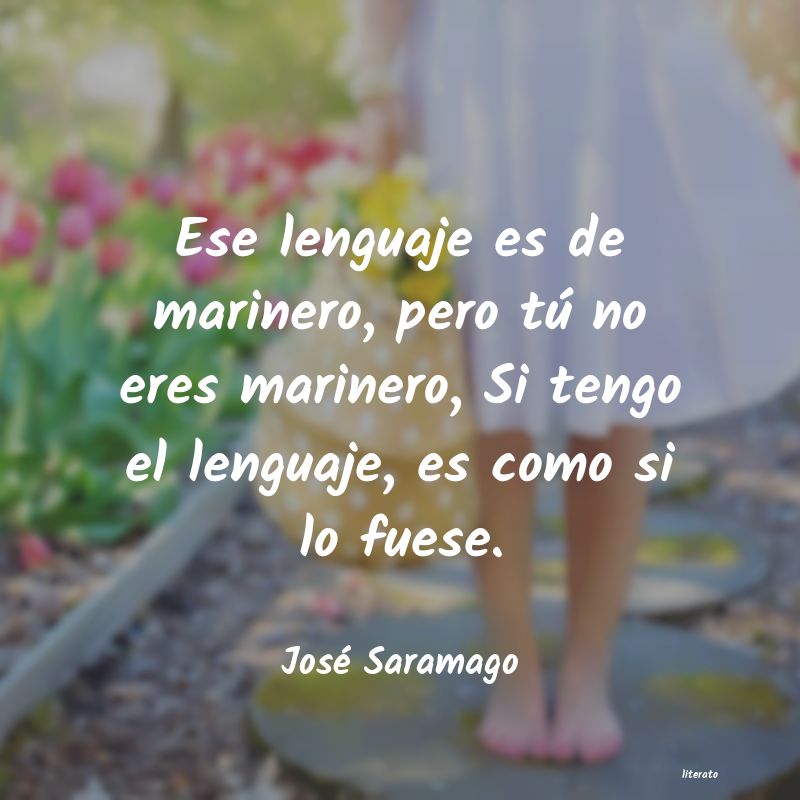 frase como amiga tengo defectos pero como enemiga