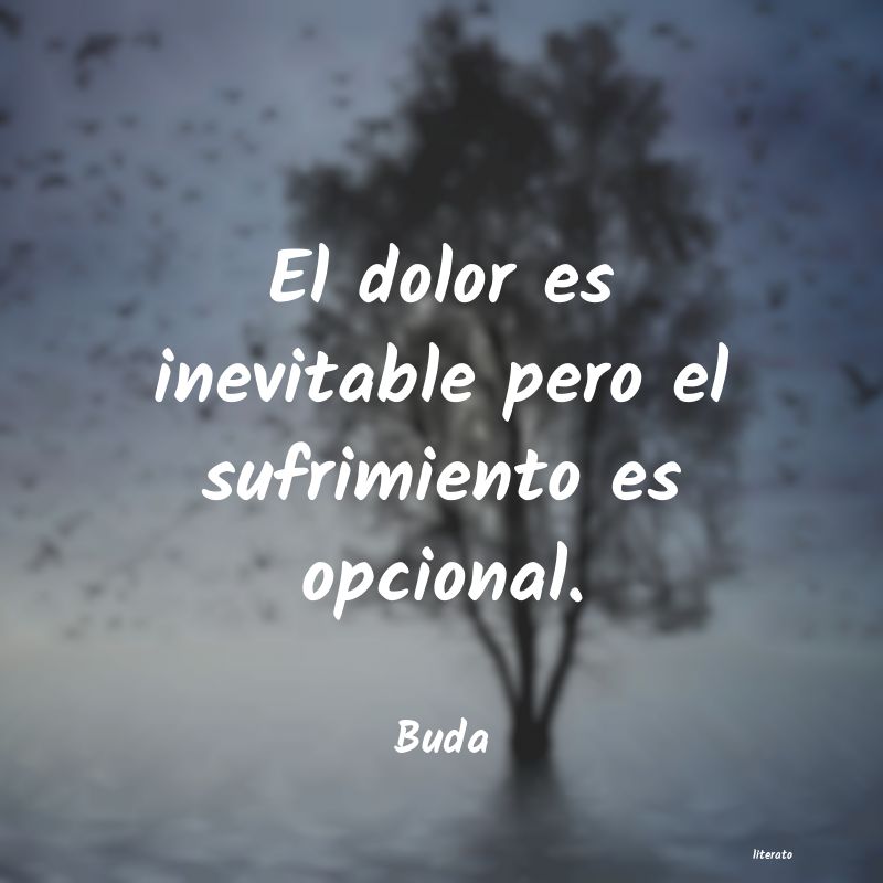 frases budistas cortas