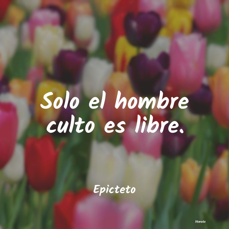 kazantzakis libre