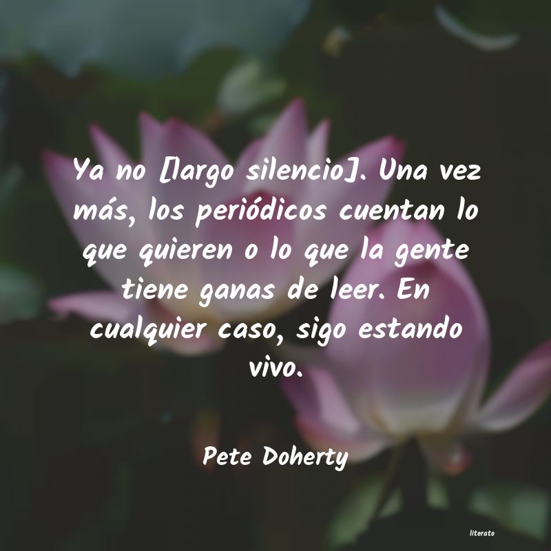 Frases de Pete Doherty