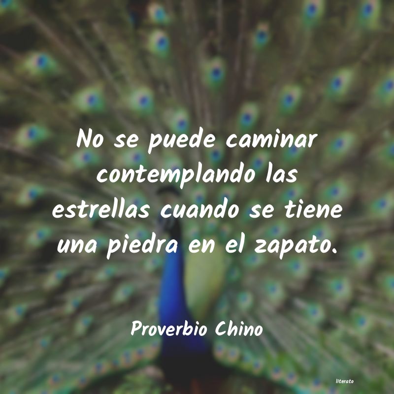 Frases de Proverbio Chino