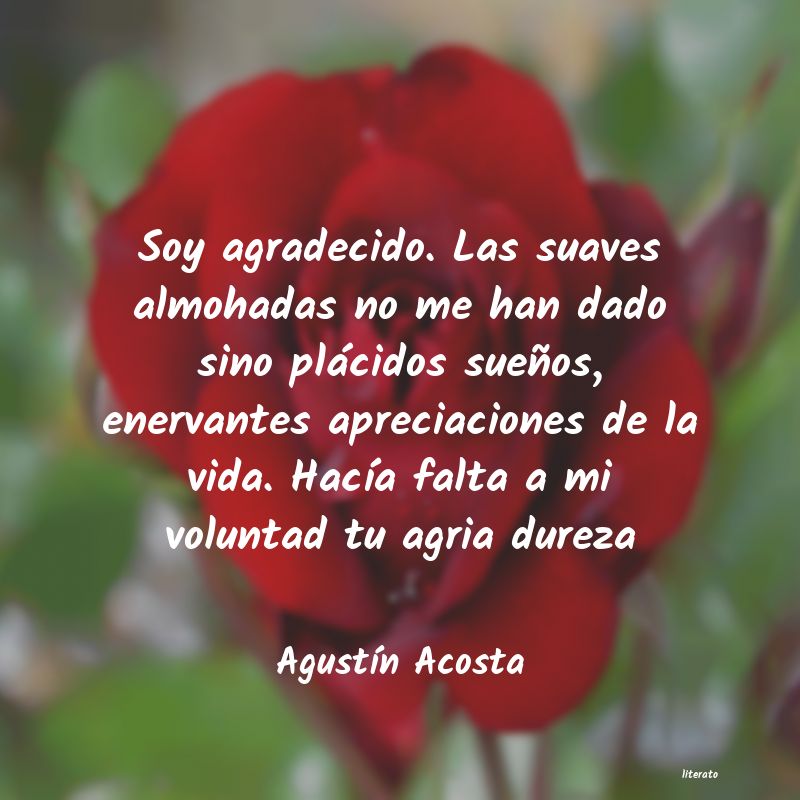 frases de AgustÃn Acosta