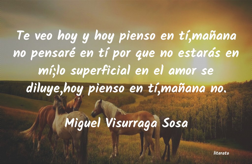 Frases de Miguel Visurraga Sosa