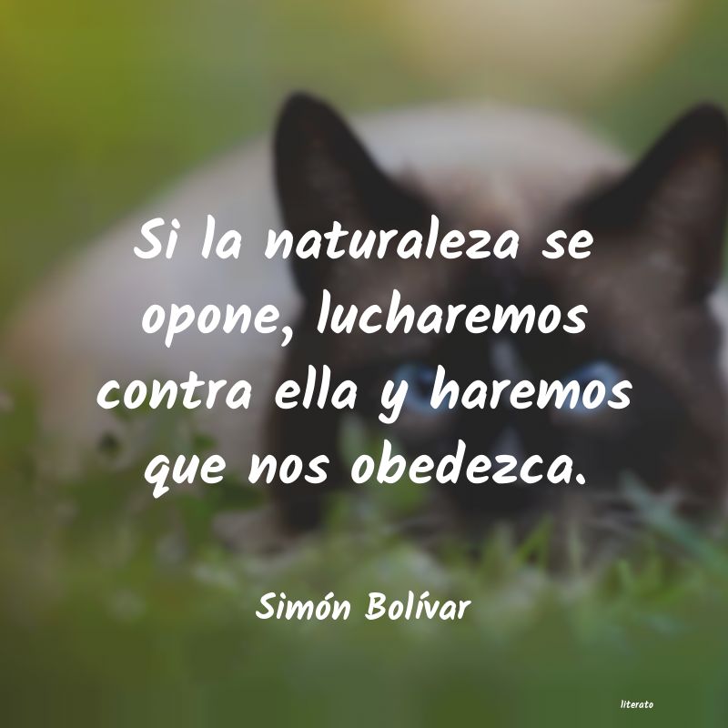 Frases de Simón Bolívar