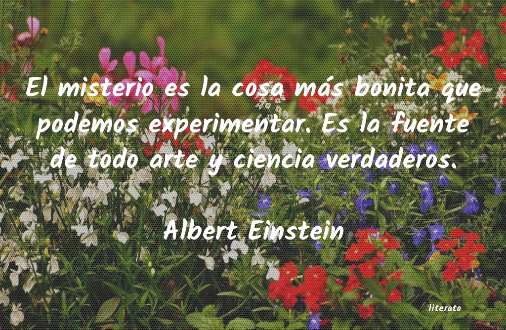 Frases de Albert Einstein