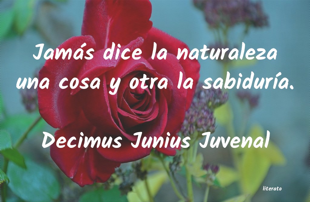 Frases de Decimus Junius Juvenal