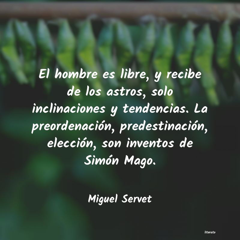 Frases de Miguel Servet