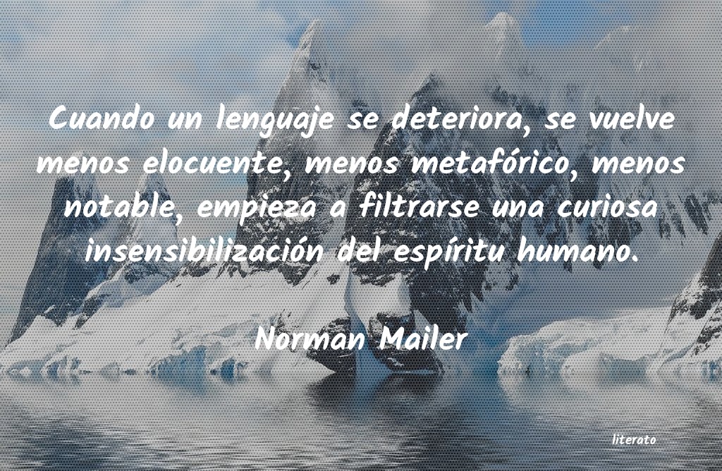 Frases de Norman Mailer