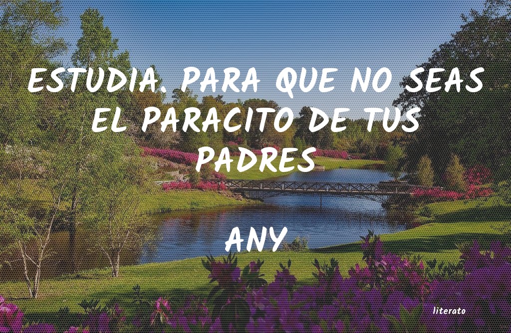 frases de ANY