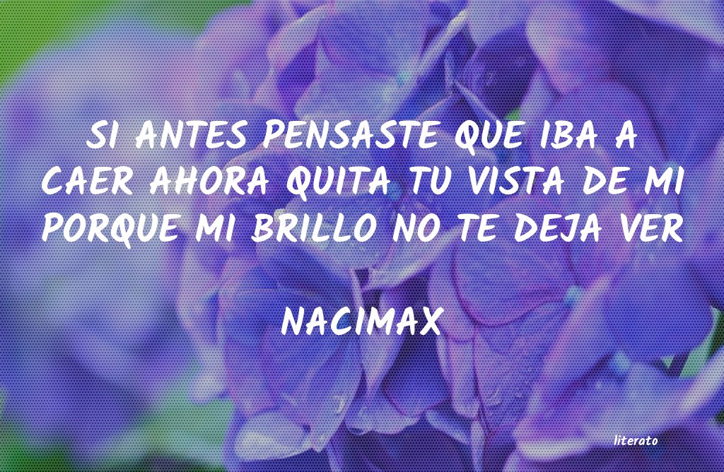 Frases de NACIMAX