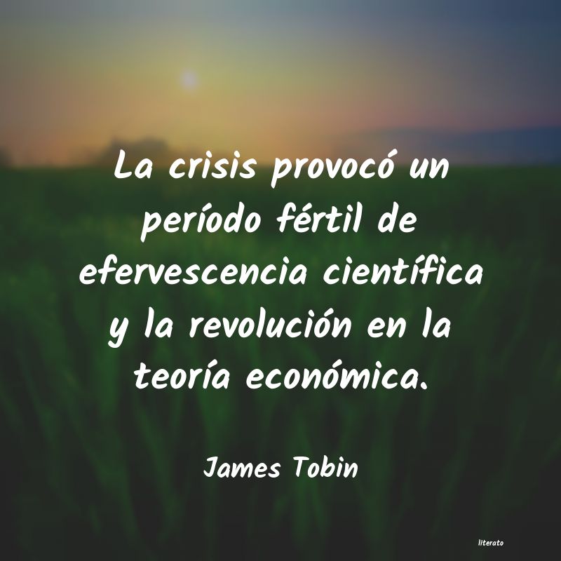 Frases de James Tobin