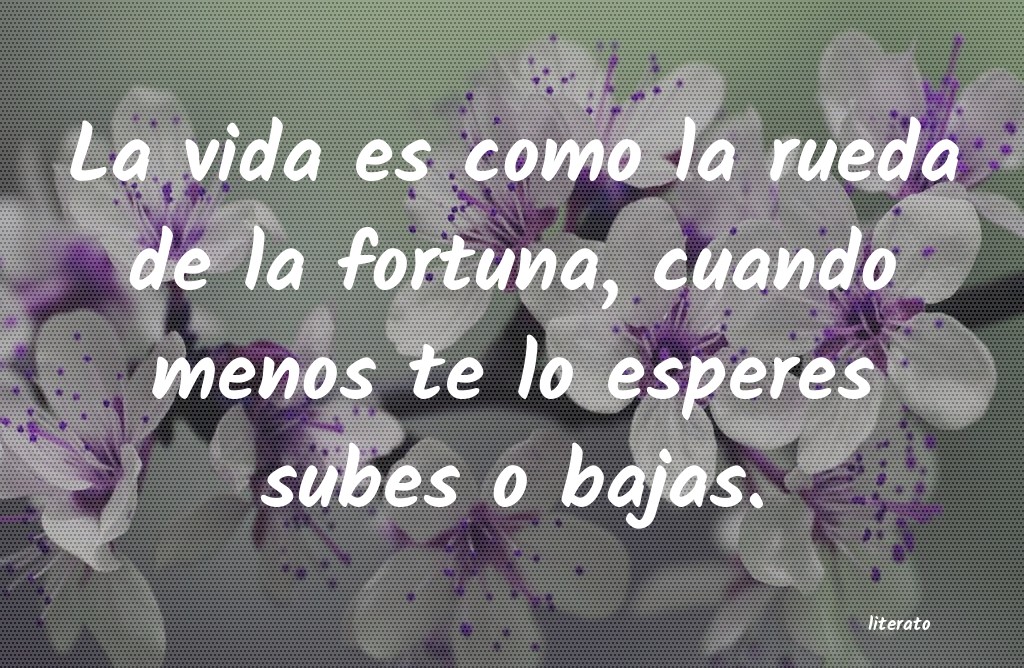 frases