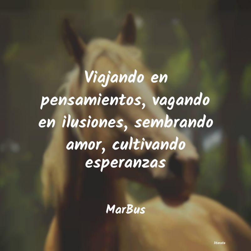 Frases de MarBus