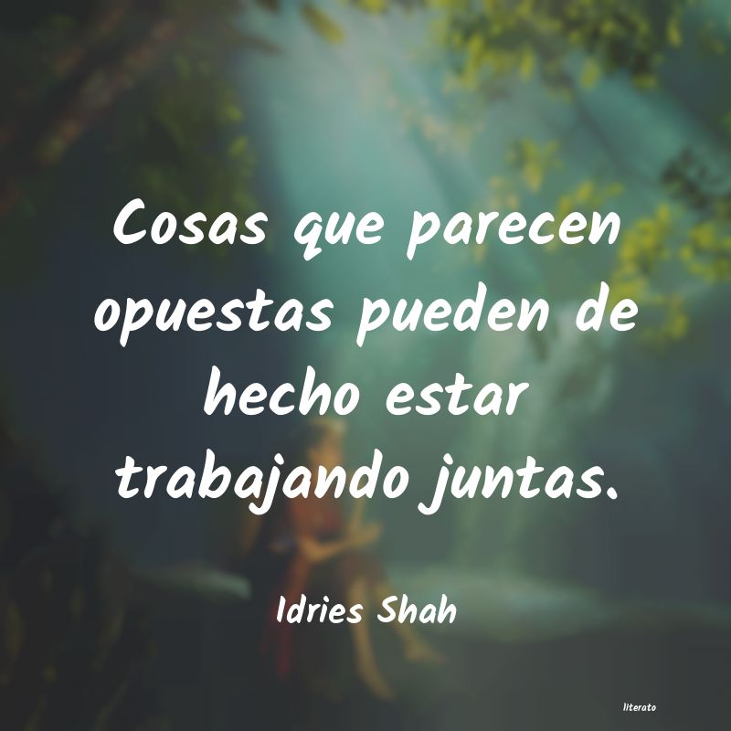 Frases de Idries Shah