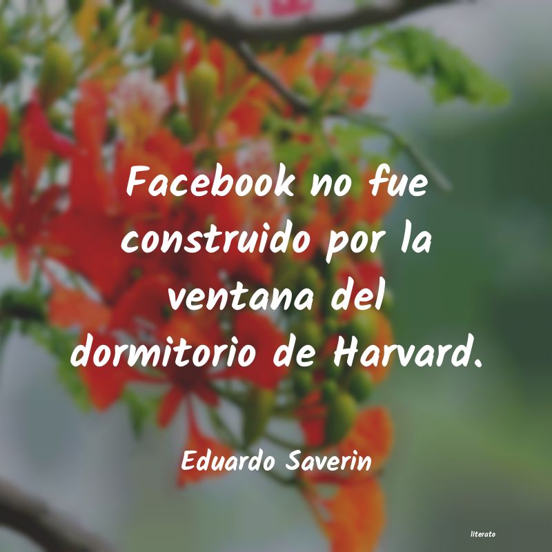 Frases de Eduardo Saverin