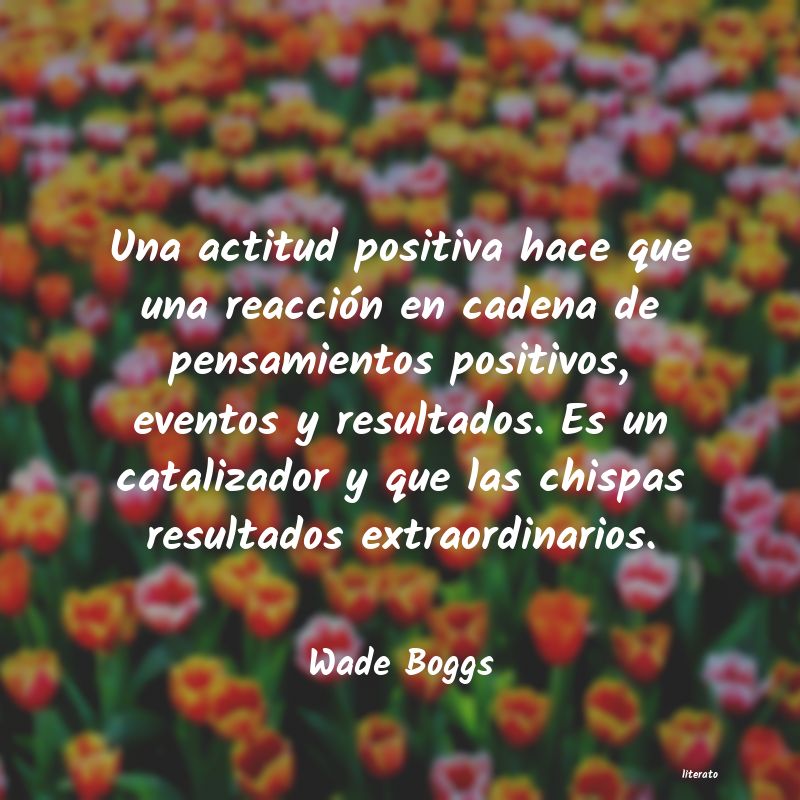 frases de Wade Boggs