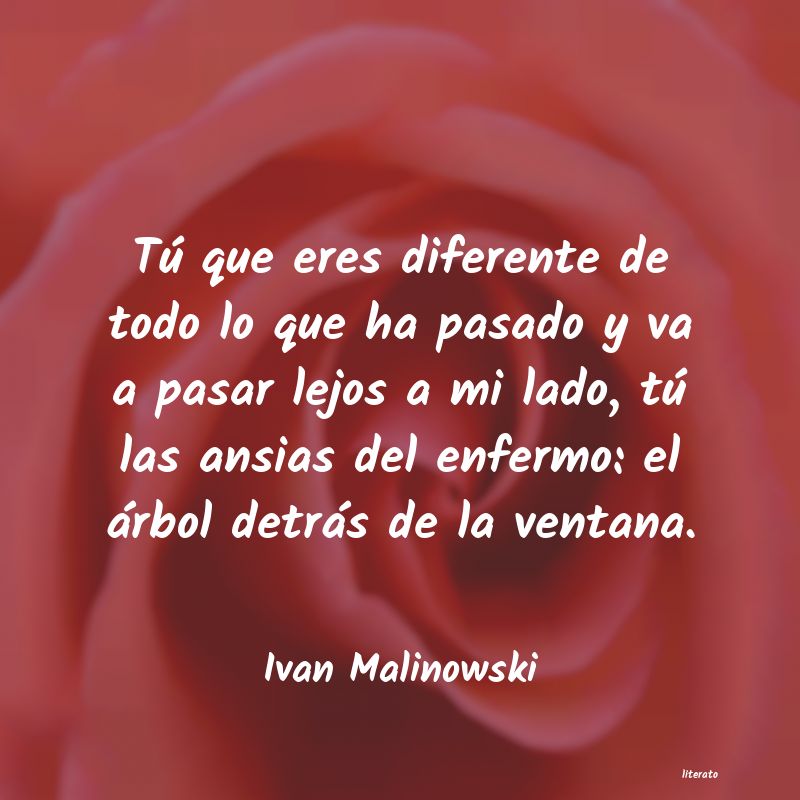 Frases de Ivan Malinowski