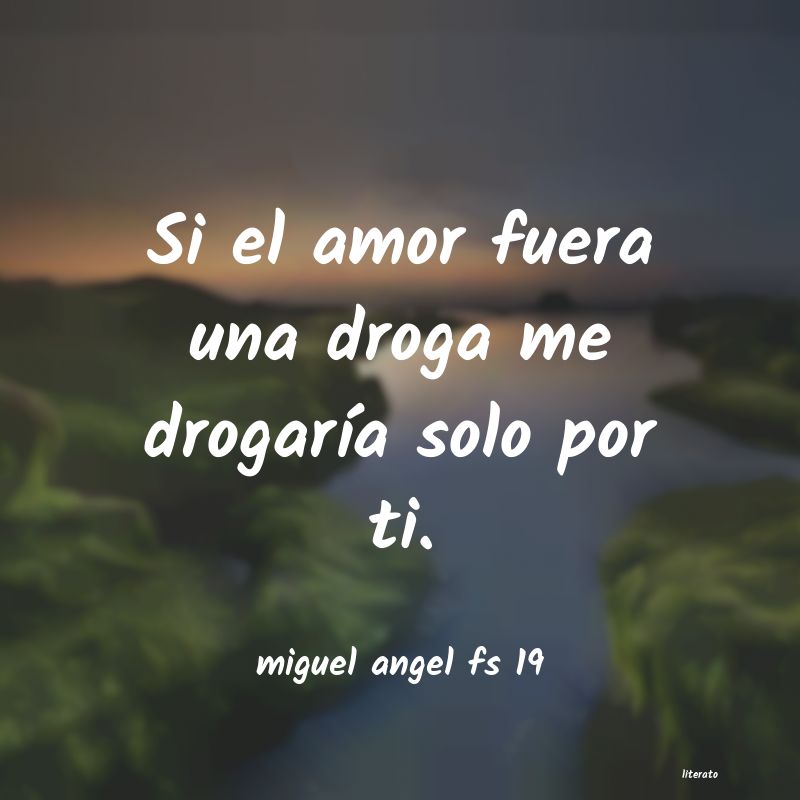 Frases de miguel angel fs 19