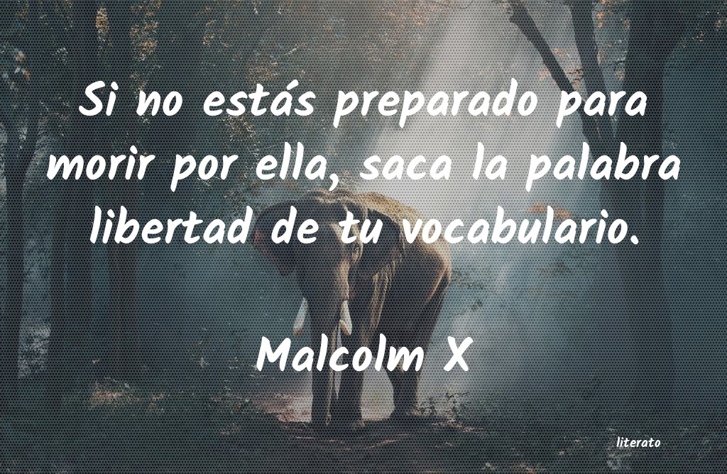 Frases de Malcolm X