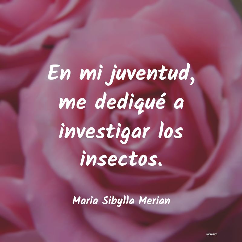 frases de Maria Sibylla Merian
