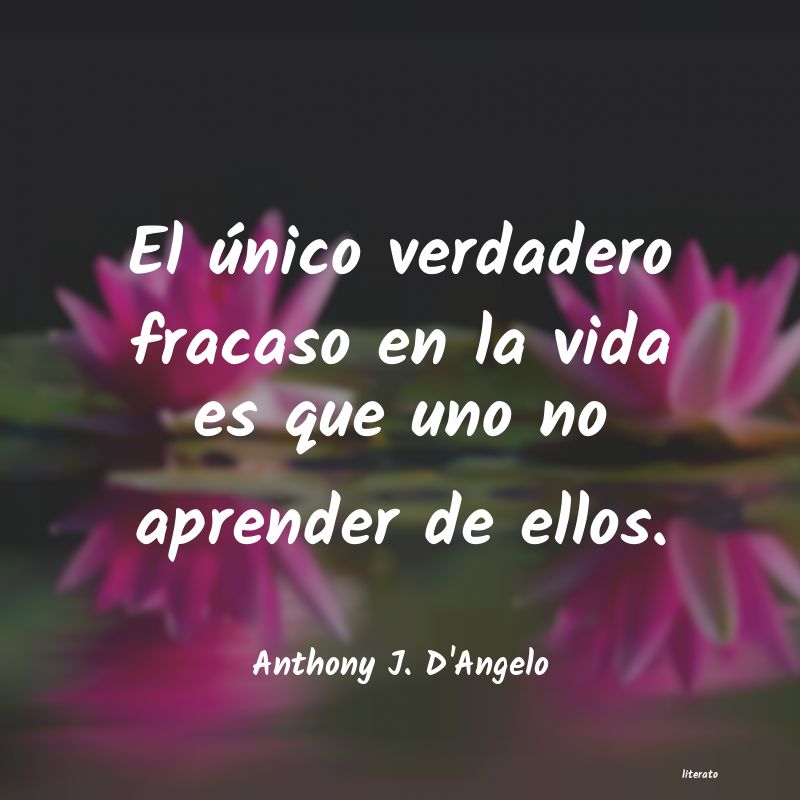 frases de Anthony J. D'Angelo
