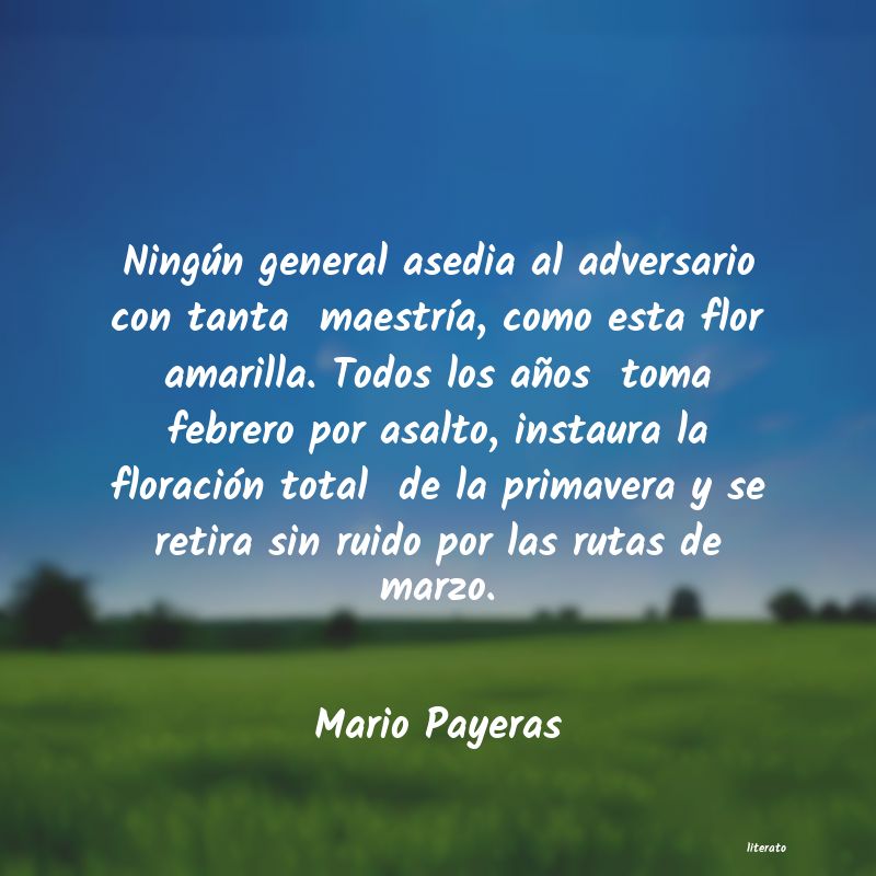 frases de Mario Payeras