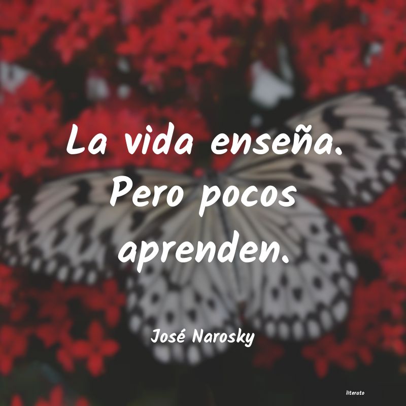 Frases de José Narosky