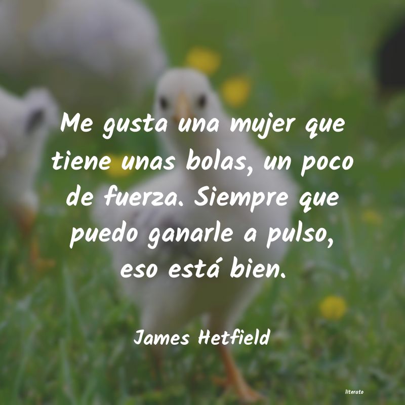 Frases de James Hetfield