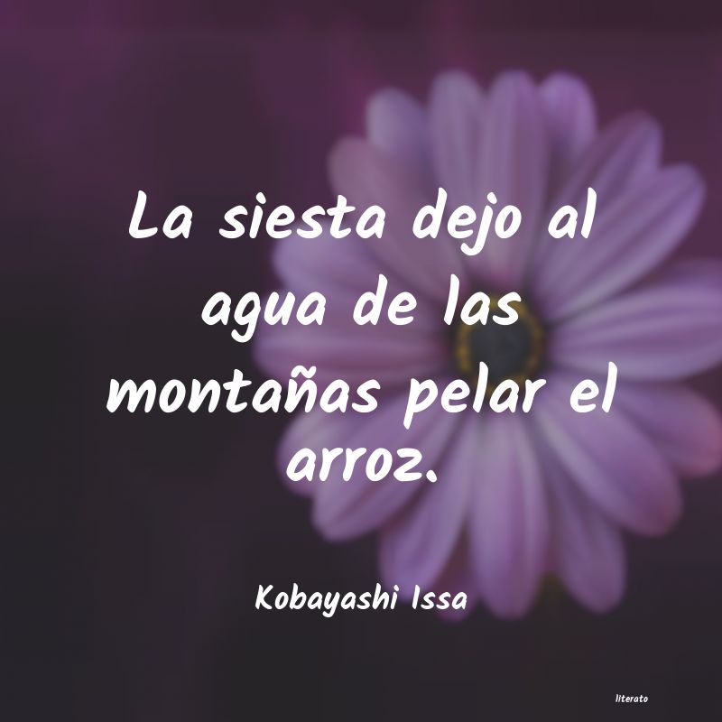 frases de Kobayashi Issa