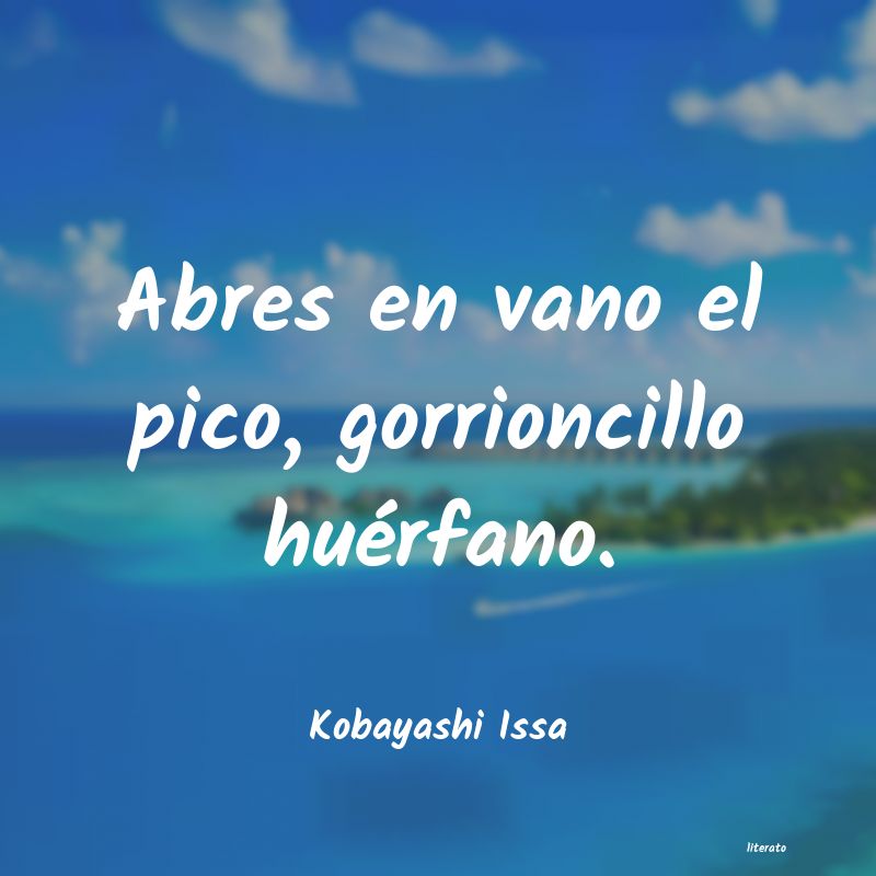 frases de Kobayashi Issa
