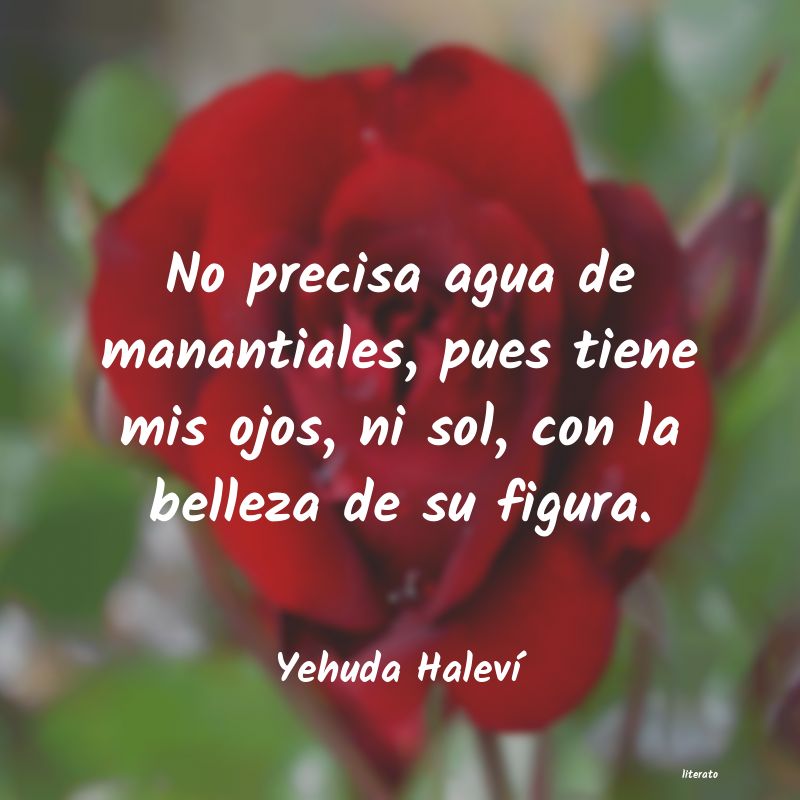 Frases de Yehuda Haleví