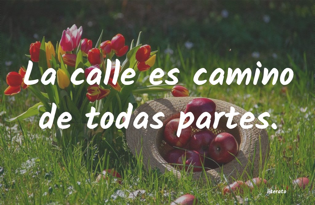 frases