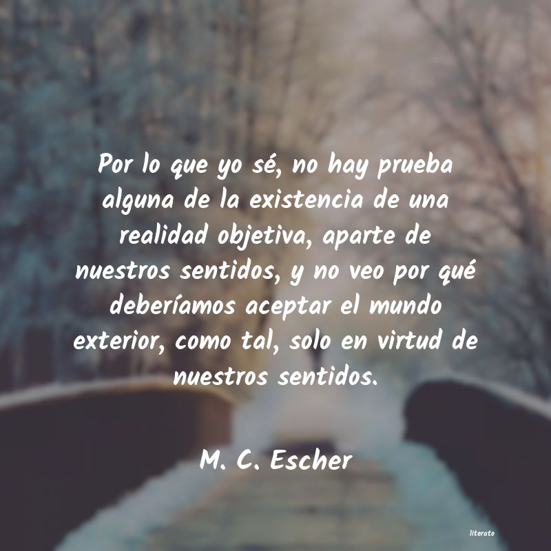 Frases de M. C. Escher