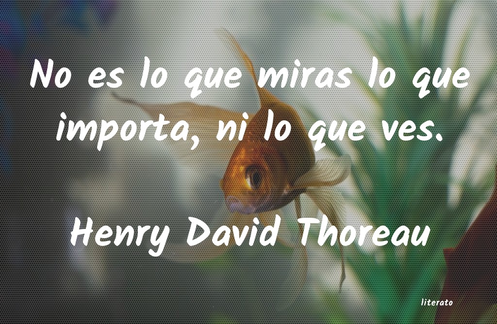 frases de Henry David Thoreau