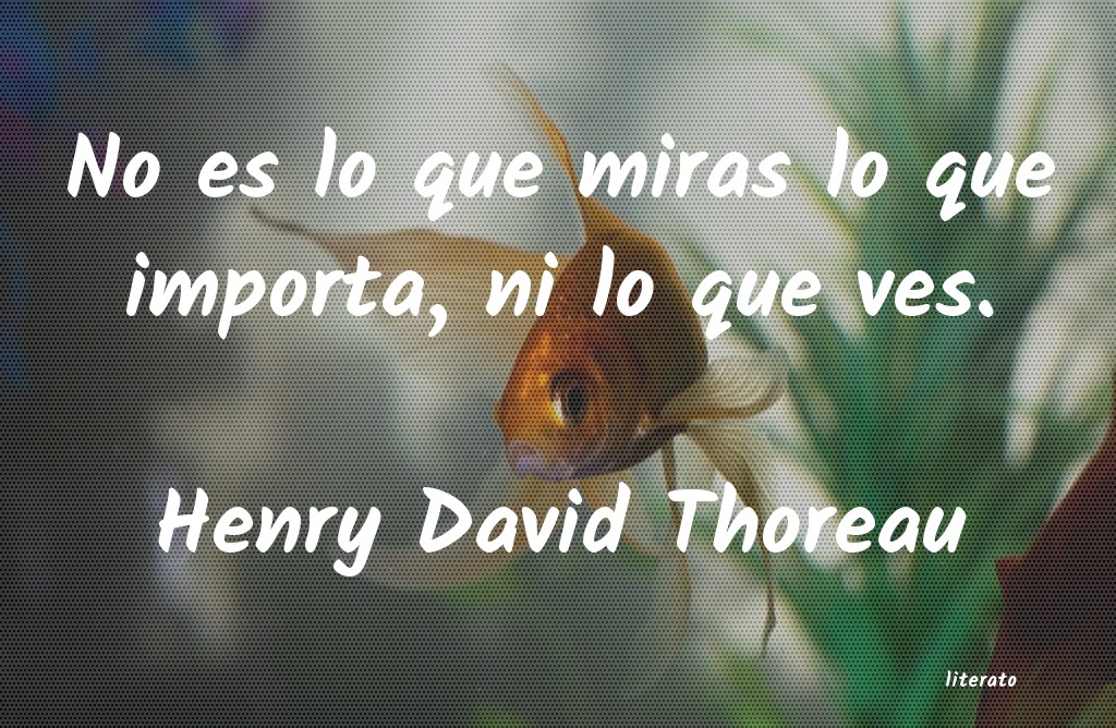 Frases de Henry David Thoreau