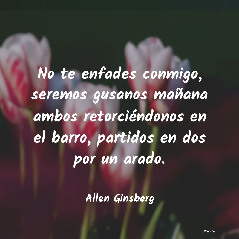 frases de Allen Ginsberg